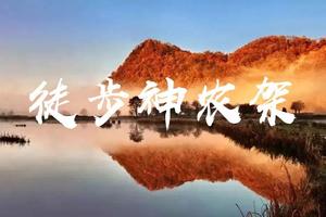 【神农架】将军寨无人区穿越徒步露营五日之旅，原始森林、高山草甸、篝火露营