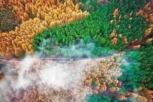 【长白山-9月30~10月5日】六天五夜原始森林徒步之旅，中朝边境、鸭绿江、天池、北国秋色、红石峰、三角龙湾