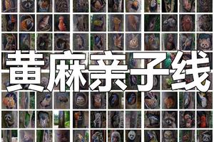 【Hiking-10月4日】黄埔经典-长岭登山步道-黄麻亲子12KM环线，树洞画、溯溪、竹林