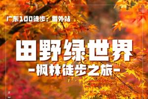【12月2日（星期六）】佛冈田野绿世界枫林徒步节-暨广100系列徒步-广花佛往返