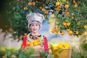 【11月18~19日】粤赣秋收之旅，龙南武当山登山节&赣南脐橙采摘两天一夜，暨广100系列徒步，广花佛往返