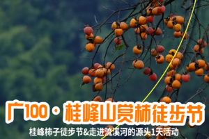 【11月11日、12日两期】从化桂峰山赏柿徒步节-走进流溪河源头-暨广100系列徒步-广花佛往返