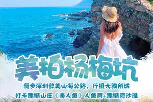 【美拍杨梅坑】漫步鹿嘴山庄《美人鱼》人鱼洞+鹿嘴湾沙滩，打卡深圳醉美山海公路，行摄大鹏所城