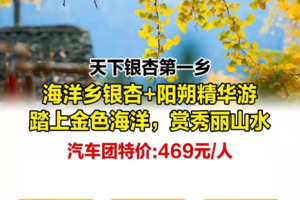秋天爆款推荐【天下银杏第一乡】汽车团：海洋乡银杏+西街+兴坪古镇老寨山