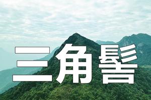 【Climb-1月14日（星期日）】从化十登之三角髻（Cong Hua Top 10），花都往返