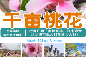 春节天天出发【千亩桃花】行摄广州千亩桃花林，打卡隐世桃花源百年古村落塱头古村！