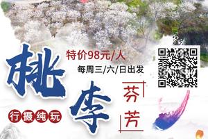 每周三/六/日出发【桃李芬芳】桂峰飘雪，李花铺满地！锦洞春风，桃花开十里！欧式风8号仓流溪河奥莱小镇