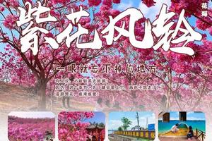 特价79【紫花风铃+石板沙】江门千亩紫花风铃，浪漫花海已盛开！畅游石板沙疍家风情小岛，品西江黄沙蚬河鲜宴