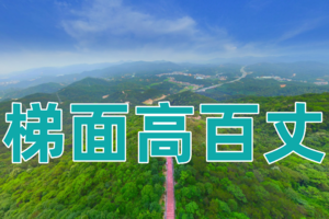 【3月16日（星期六-官方大型活动）】花都高百丈~花都100系列山野徒步暨2024首届梯面户外活动季（梯面高百丈站）