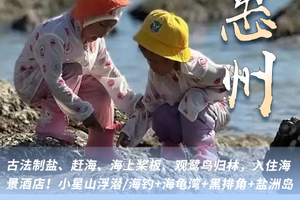 【趣游惠州】体验古法制盐、赶海、海上桨板、观鹭鸟归林，入住海景酒店！双月湾小星山浮潜/海钓+海龟湾+黑排角+盐洲岛