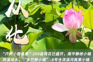 【夏游从化】赏荷&玩水&拍照打卡-"广州小普者黑"200亩荷花已盛开，南平静修小镇凤溪戏水，“多巴胺小镇”流溪河奥莱小镇