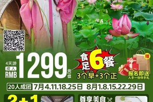 江西百亩荷花【荷你相约4天游】品尝特色莲子宴！泡江西双料田温泉之旅！夜游琴江美景，打卡青龙岩、通天寨，含3早3正，品江西