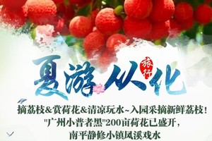 特价88【夏游从化】摘荔枝&赏荷花&清凉玩水~入园采摘新鲜荔枝！"广州小普者黑"200亩荷花已盛开，南平静修小镇凤溪戏水