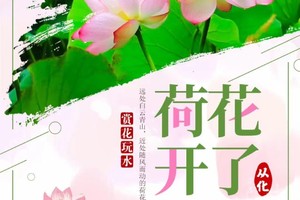 【从化荷花】夏日赏花玩水路线！百亩荷花齐绽放，冰河古道清爽戏水，“小泸沽湖”碧波荡漾