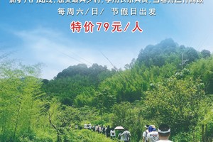 【从化星溪线】每周六/周日/节假日天天出发：新驴入门路线，感受最美乡村