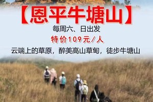 特价109元！【牛塘山】每周六日/节假日出发：云端上的草原，醉美高山草甸，徒步牛塘山