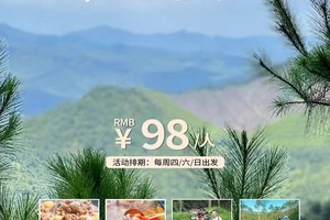 特价98元【粤味秘寻·第①站佛山】每周四六日出发：佛山·高明丨轻徒高明茶山、让舌尖行走山林