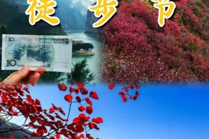 11月16~19日，4天3夜【2024第一届三峡红叶徒步节】