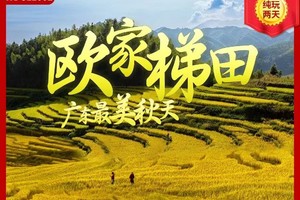 【欧家梯田两天】国庆10.1-10.6天天出发，番禺广场、珠江新城、花都花果山接送