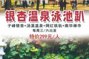 花都可接，299元含住宿送温泉【银杏温泉泳池趴】周三周六：帽子峰银杏+汤溪温泉+网红铁轨+南华禅寺