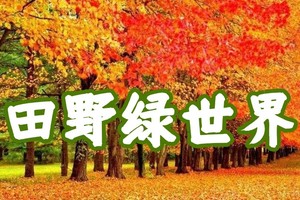 【12月01日（星期日）】佛冈田野绿世界15KM枫林徒步大会，广100系列~花都广州番禺佛山深圳中山大巴车往返