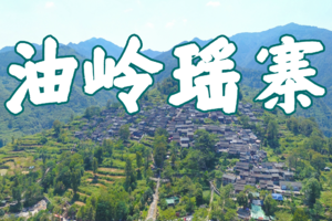 【11月02日~03日（星期六、日）两天一夜】连南瑶寨12KM赏银杏徒步节，花都广州番禺佛山深圳中山大巴车往返 