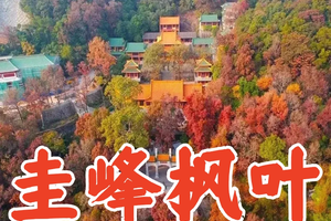 【12月15日（星期日）】江门圭峰山枫叶登高赏秋18KM徒步节，花都广州番禺佛山深圳中山大巴车往返 