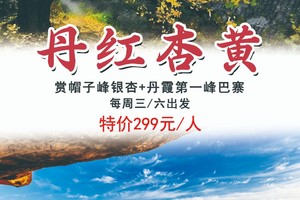 花都可接，299元含住宿【丹红杏黄】周三周六：赏帽子峰银杏+丹霞第一峰巴寨