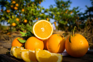 成行【每周六出发，大美龙南2天】任摘任吃赣南脐橙+龙南虔心小镇+燕翼围屋+龙南武当山，玩转全景玻璃桥，入住豪华酒店~