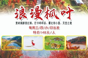 浪漫枫叶【周三/四/六/日出发】赏岭南醉美红枫、打卡咩咩谷、霍比特小屋、天空之境~