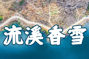 【1月01日（星期三）】2025迎新，从化流溪香雪五指山15KM徒步节，花都广州佛山深圳中山大巴车往返