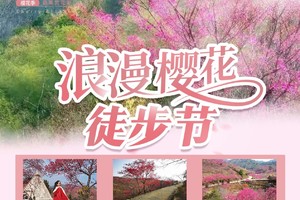 【1月19日（星期日）】惠州梅花节20公里徒步大会，花都广州佛山深圳东莞大巴车往返
