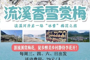 特惠79元【流溪赏梅】每周三四六日出发，游流溪赏梅花，徒步醉美乡村静待李花开！