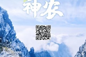 【2025冬游神农4日，湖北】邂逅神农架的冰雪童话，滑雪畅滑华中屋脊