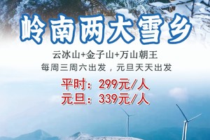爆款！两天【岭南两大雪乡】每周六/春节出发：云冰山+金子山+万山朝王