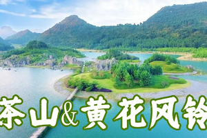 ¥138已成行【3月23日（星期日）】清远英德-仙湖红茶谷-茶山遇见黄花风铃19KM徒步大会，花都广州番禺佛山大巴车往返