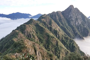 每周六晚、清明4月3【小红帽屠龙丨龙斗峰】  挑战广东第一险峰“k2”龙斗峰，赏最美日出云海 探秘千万年的陨石坑1天1夜