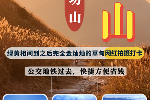 绝美大东山｜登香港第三高峰大东山，赏高山草甸，看芒草云海-