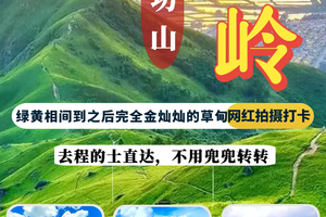 香港版“武功山”鸡公岭徒步、漫步空中大草甸、领略360°山海全景、走进宫崎骏的秋冬