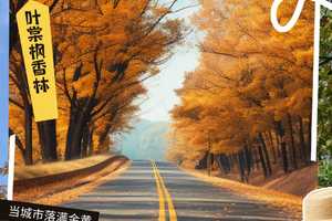 麦径百公里系列之9段,10段｜大棠枫香林、千岛湖清景台、原始森林小公路