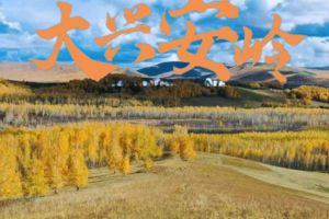 【内蒙古-9月21日-27日】大兴安岭50公里徒步7天活动《徒个中国-内蒙站》