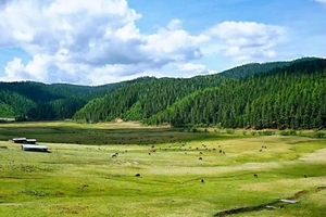 【云南】普达措国家公园-尼汝村秋季徒步大会，9月11日-15日5天4晚