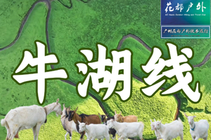 ¥128元/9月23日星期二【清远阳山经典牛湖线】徒步绝美草原牧场，邂逅可爱牛羊群，探秘天坑溶洞~广州花都户外