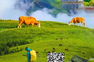 【山西-10月9日-13日】山西五台山亲子轻徒步《徒个中国-山西站》