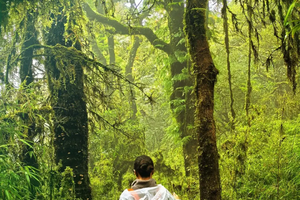 【云南-秘境哀牢山】 昆明 哀牢山 抚仙湖 麒麟山 4日活动