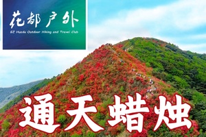 早鸟优惠/1月11日星期日/新从化十登之六【通天蜡烛】Cong Hua Top6 hill，海拔1047米~广州花都户外