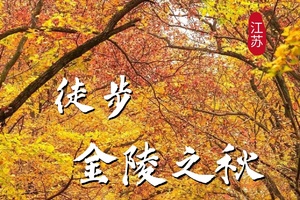 【江苏-11月23日-11月28日】南京栖霞山赏秋，太湖徒步6天5晚《徒个中国-江苏南京站》
