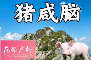 早鸟优惠/1月10日星期六清远小龙斗峰【猪咸脑山】7KM挑战性徒步，海拔高度900米~广州花都户外