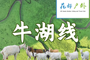 早鸟优惠/1月24日星期六/清远阳山经典【牛湖线】徒步绝美草原牧场，邂逅可爱牛羊群，探秘天坑溶洞~广州花都户外