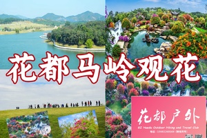 火爆加开二期！12月6日星期六【花都马岭花海】14KM千人徒步大会，花都广州佛山巴士自驾车接送，广100系列徒步